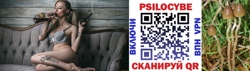 Галлюциногенные грибы Psilocybe  закладки  Олёкминск 